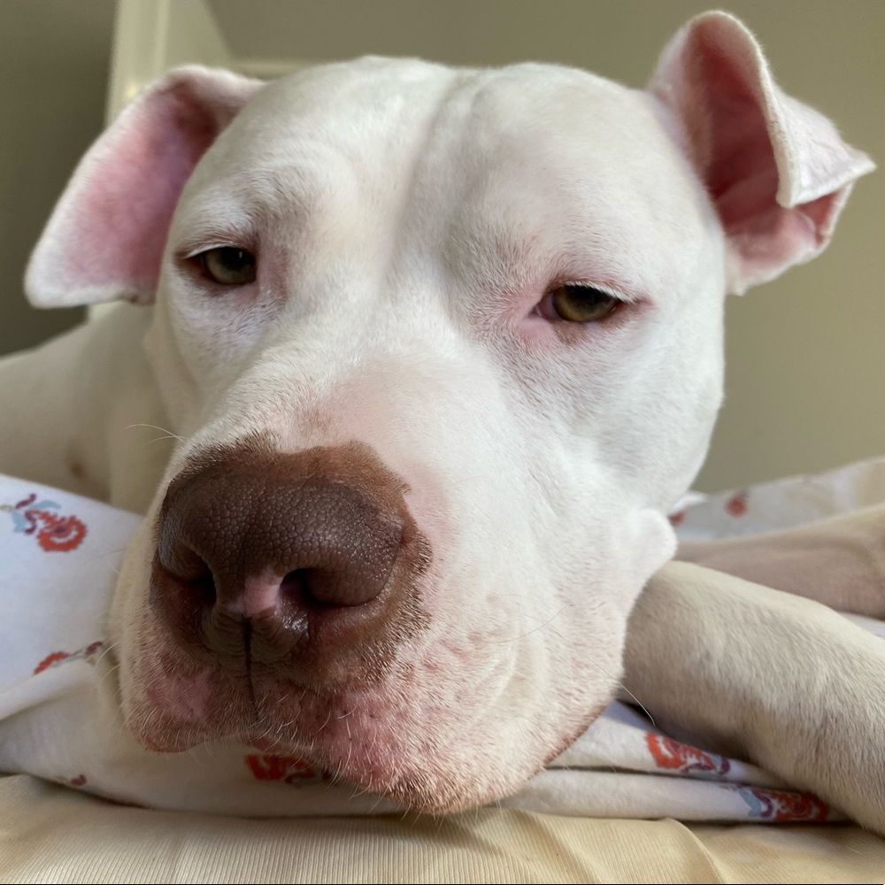 Hello, Hello, Hello! I’m Morgan!